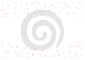 Cherry blossom pattern. Frame design of falling petals. Vector illustration.